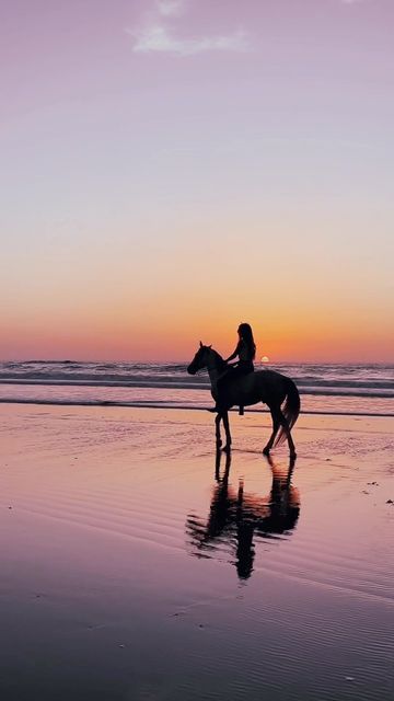 Horse Rider Aesthetic, Equitation Aesthetic, Horse Riding Aesthetic Beach, Horse Beach Aesthetic, Horses Sunset, Horse On Beach, Horse Riding On Beach, Horse Sunset, Horse Ocean Aesthetic