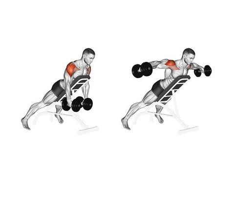 Rear Dealt Exercises - Lateral Raise On Incline Bench. ðª Get fit with GRIT! ð +1 (425) 822-7770 ð https://gritelite.com Adjustable Workout Bench, Build Your Own Home, Incline Bench, Kettlebell Training, Lateral Raises, Adjustable Dumbbells, Workout Equipment, Home Workout Equipment, Men's Fitness