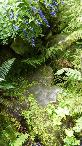 Biddulph Grange Garden | Biddulph Grange is a National Trust… | Flickr Biddulph Grange Gardens, Screen Porches, National Trust, Stoke On Trent, Screened Porch, Small Garden, Garden Landscaping, Outdoor Space, Balcony