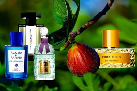 Fig Perfume, Pamper Routine, Violet Perfume, Pampering Routine, Perfumes For Women, Tree Base, Fig Leaves, Best Perfume, Luxury Perfume