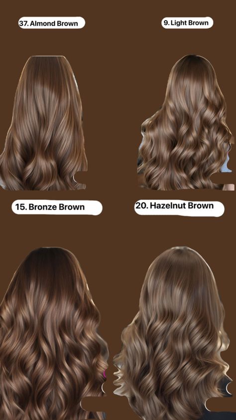 6n Hair Color, Walnut Brown Hair, Different Shades Of Brown Hair, Hazelnut Brown Hair, Shades Of Brown Hair Color, Cute Hair Color, Hazelnut Hair, Brown Hair Color Chart, Medium Brown Hair Color