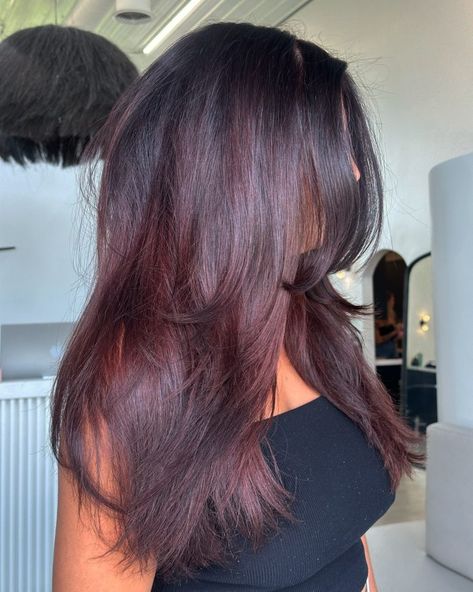 25 Cherry Cola Hair Color Ideas for 2025: Bold Brunettes, Dark Brown, and Burgundy Shades Deep Burgundy Highlights, Plum Brown Hair, Cola Hair Color, Deep Burgundy Hair Color, Chocolate Cherry Hair Color, Dark Cherry Hair, Deep Burgundy Hair, Cherry Brown Hair, Cherry Cola Hair Color