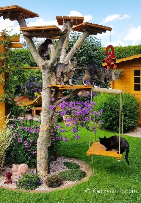 (ad) A portmanteau of "cat" and "patio," a catio is an outdoor enclosure meant to keep cats safe as they play in your backyard. Cat Highway, Outdoor Cat Tree, Katt Diy, Katt Grejer, Kat Diy, Cat Fence, Cat Patio, Cat Hotel, Cat Tree House