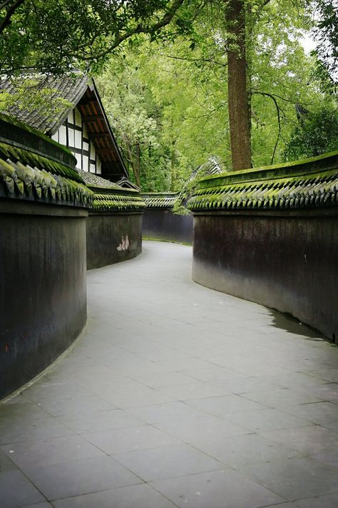 Baoguang Temple of Chengdu - TripAdvisor Chengdu Aesthetic, China Scenery, China School, Travel Manifestation, Different Types Of Aesthetics, Gap Year Travel, Buddhist Temples, Concrete Architecture, Buddhist Temple