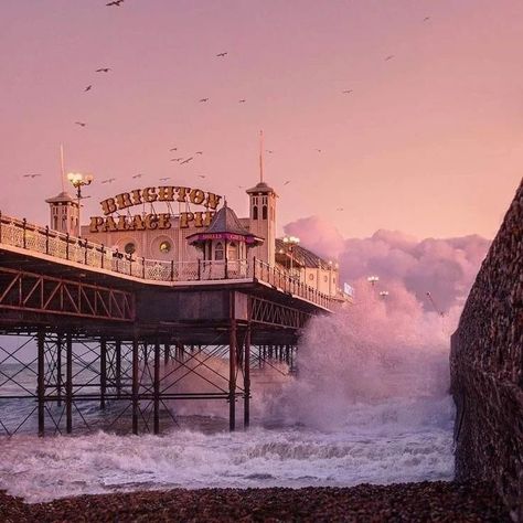 All posts • Instagram Brighton Photography, Trip Photo Ideas, Brighton City, Bigger Than The Whole Sky, Brighton Rock, Jacques Yves Cousteau, E Guitar, Life By The Sea, England Aesthetic