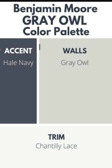 Hale Navy Palette, Bm Gray Owl Coordinating Colors, Hale Navy Vs Charcoal Blue, Hale Navy Accent Wall, Hale Navy Coordinating Colors, Bm Gray Owl Palette, Benjamin Moore Gray Owl Bedroom, Benjamin Moore Gray Owl Color Scheme, Moody Paint