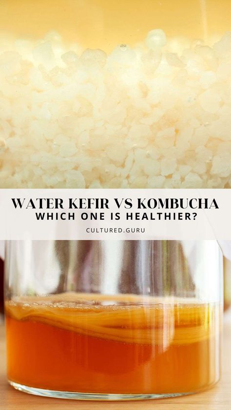 These fizzy drinks are unique. When looking at water kefir vs kombucha, the main difference is the microorganisms in the starter cultures. Kombucha SCOBYs contain more yeast, and acetic acid bacteria are the dominant bacterial species. Water kefir grains contain less yeast, and lactic acid bacteria are the most dominant types of bacteria. Read the blog to learn more! Kefir Flavors, Water Kefir Recipes, When To Drink Water, Jun Kombucha, Kefir Drink, Types Of Bacteria, Water Kefir Grains, Kombucha Recipes, Kombucha Scoby