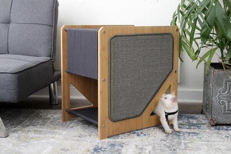 Enter to Win a Cat Tree from Catastrophic Creations! • hauspanther Cat Highway, Small Cat Tree, Cat Sofa, Different Personalities, The Grotto, Modern Cat Furniture, Bamboo Panels, Modern Cat Tree, Cat Tree Condo