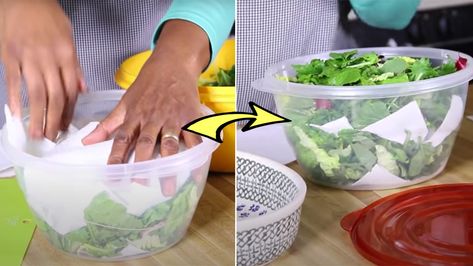 How to Keep Your Salad Fresh for Days Salads That Last In The Fridge, Storing Salad In The Fridge, Keep Salad Fresh, How To Keep Salad Fresh Longer, How To Save Lettuce In Fridge, Keeping Fruit Fresh Longer, Mixed Salad, Eating Healthier, Salad Spinner