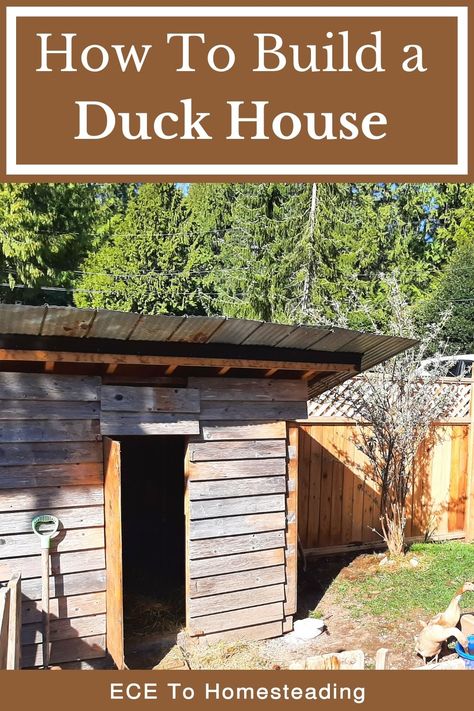 Diy Duck House Plans, Runner Duck House, Runner Ducks Coop, Duck House Ideas Backyards, Easy Duck Coop, Duck Coop Ideas Diy, Duck House Ideas, Duck House Diy, Duck House Plans