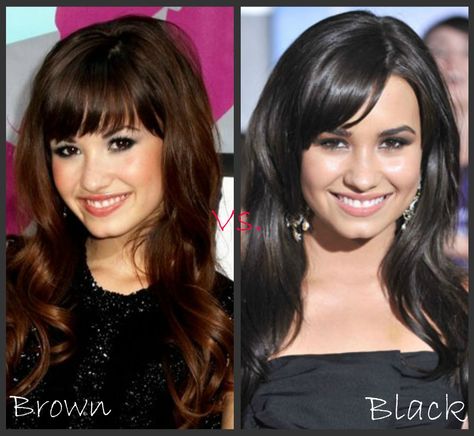 Demi Lovato: Brown vs. Black Brown Vs Black Hair, Brown Hair Vs Black Hair, Popular Hair Colors, Brown And Black Hair, Brown Hair Color Chart, Brown Hair Trends, Ashy Hair, Brown Hair Inspiration, Beautiful Brown Hair