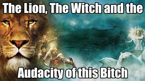 Witch Meme, Work Advice, The Audacity, Chronicles Of Narnia, The Witch, Know Your Meme, Image Macro, Narnia, The Lion