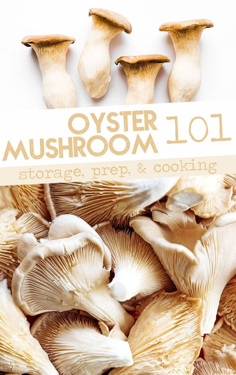 Recipes For Oyster Mushrooms, Cooking Oyster Mushrooms, Recipes With Oyster Mushrooms, How To Cook Oyster Mushrooms, Oyster Mushrooms Recipes, Oyster Mushroom Recipes, Vegetarian Pulled Pork, Coconut Curry Vegetarian, Fried Mushroom Recipes