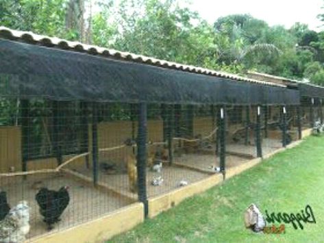 Chicken #chickenhouse Commercial Design In Pdf #designinpdf Agriculture Bird Poultry Farm Design #poultryfarmdesign Poultry Shed Design and Construction #poultrysheddesignandconstruction Plan Information Low cost poultry Shed desig Poultry farming gives us many other by products like #farming eggs and meat The eggs and chicken are the most profitable income for the rearers As chicken has How much does a poultry shed cost? #howmuchdoesapoultryshed How much does it cost to build a poultry farm Breeding Chickens Pens, Chicken Breeding Pens, Poultry Breeding Pens, Poultry Farm Buildings, Reban Ayam, Poultry Farm Design, Chicken Coop Garden, Chicken Barn, Poultry House