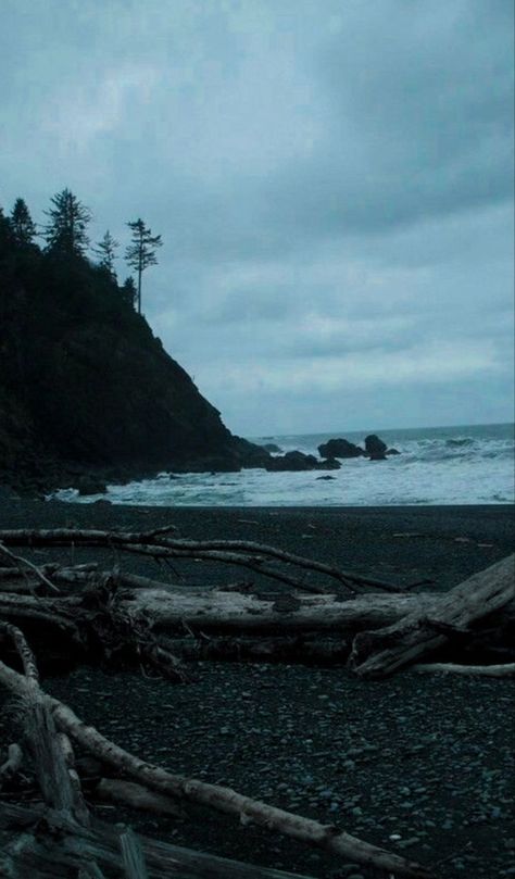 La Push Aesthetic Twilight, Twilight Landscape Movie, Washington Forks Aesthetic, Shelby Core Aesthetic, Jordancore Aesthetic, Forks Washington Aesthetic, Forks Washington Twilight Aesthetic, Coastline Aesthetic, Twilight Aesthetic Wallpaper