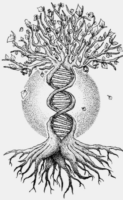 Yggdrasil Tattoo, Dragon Tattoo Drawing, Dna Tree, Spiral Tattoos, Trippy Drawings, Forest Tattoos, Tree Of Life Tattoo, Nature Drawing, Viking Tattoos