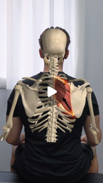 Andrew Harkin. Osteopath on Instagram: "PAIN BETWEEN SHOULDER BLADES? 🔥  Pain felt between shoulder blades in the Rhomboid muscle is extremely common, and here are a couple of exercises to help overcome it 👌🏼  The first exercise is a nice stretch to target the area and spread the shoulder blades, you should really feel it open up your Rhomboids and rib cage 🙌🏽  Chin tucks can help strengthen the deep neck muscles and reduce compression on nerves that travel into your upper back and shoulder, which often cause this pain 💪🏼  Save this post and work on this routine daily to help improve that nagging pain ❤️" Muscle Knots In Shoulder Blades, Stretches For Shoulder And Neck Pain, Rhomboid Pain Relief, Shoulder Blade Pain Relief, Pinched Nerve In Shoulder, Rhomboid Muscle, Pain Between Shoulder Blades, Rhomboid Stretch, Rhomboid Exercises