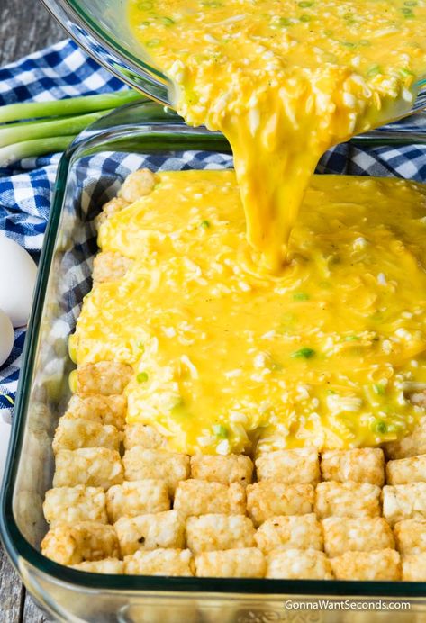 Tot Breakfast Casserole, Casserole Healthy, Casserole Breakfast, Tater Tot Breakfast Casserole, Menu Sarapan Sehat, Tater Tot Breakfast, Hot Breakfast, Family Breakfast, Recipes Casserole