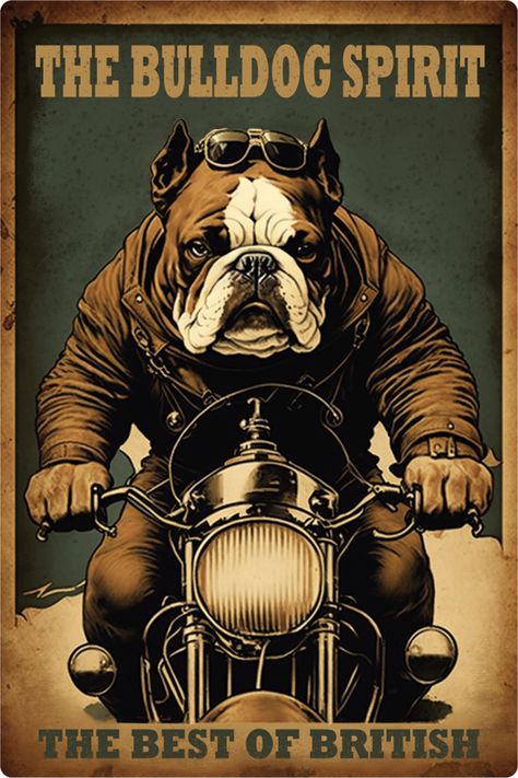 British Bulldog Tattoo, Biker Dog, Funny Bulldog, Bulldog Tattoo, Urban Logo, Bulldog Pics, Bird Dog, Strap Bodysuit, Image Reference