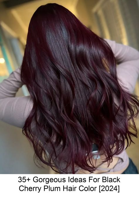 One of the prettiest trends today is the black cherry plum hair color, a dark, vampy, and sultry shade that features a combination of black, burgundy, Cherry Plum Hair, Hair Color 2024, Plum Hair Color, Hair Color Plum, Cherry Red Hair, Black Red Hair, Cherry Plum, Plum Hair, Red Hair Inspo