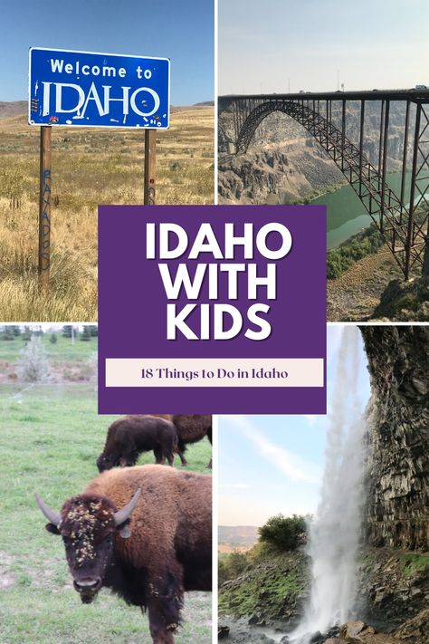 Pocatello Idaho Things To Do, Idaho Vacation With Kids, Idaho Vacation Ideas, Idaho Bucket List, Idaho Travel Summer, Tetonia Idaho, Challis Idaho, Things To Do In Idaho, Driggs Idaho