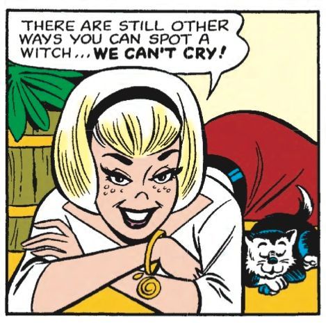 Archie Cartoon, Pop Art Comic Girl, Dan Decarlo, Archie Comic Books, Sabrina Witch, Sabrina The Teenage Witch, Betty And Veronica, Sabrina Spellman, Pop Art Comic