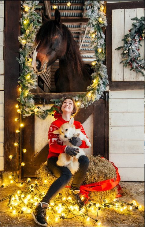 Horse Photoshoot Ideas, Christmas Cards Photography, Pictures With Horses, Western Photoshoot, Cow Photos, Cute Horse Pictures, Equine Portraits, Christmas Horses, Christmas Shoot