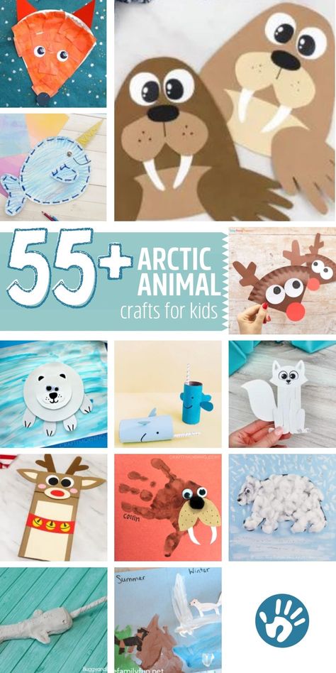 Artic Animal Prek Activities, Arctic Seal Craft, Cold Weather Animals Preschool, Arctic Animal Classroom Door, Arctic Hare Craft Preschool, Artic Animals Crafts For Preschool, Artic Fox Craft For Kids, Attic Animals Preschool, Artic Preschool