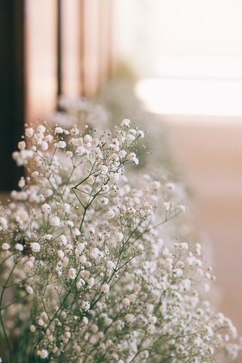 Stones Of The Yarra Valley, Babies Breath, Photographie Portrait Inspiration, Yarra Valley, Flower Background Wallpaper, Flower Phone Wallpaper, Photography Wallpaper, Pastel Wallpaper, Nature Aesthetic