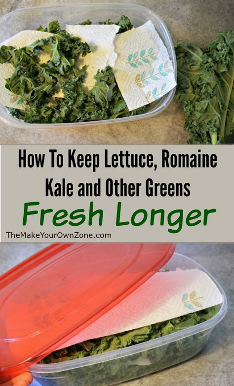 How To Keep Lettuce, Romaine, Kale and other greens fresh longer How To Store Kale In The Fridge, Storing Romaine Lettuce In Fridge, How To Keep Romaine Lettuce Fresh, How To Store Romaine Lettuce In Fridge, How To Keep Lettuce Fresh Longer, Storing Lettuce, Food Saver Hacks, Veggie Storage, Lettuce Romaine