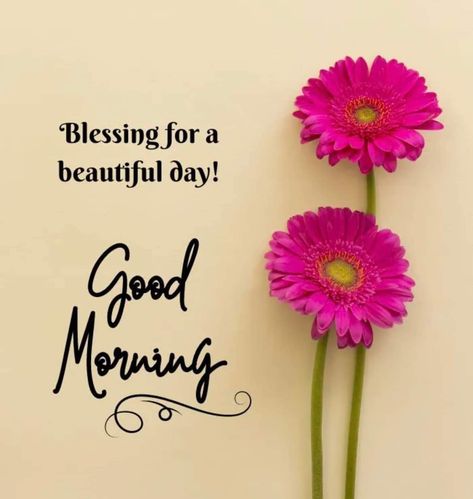 Daily Wishes, Good Morning Msg, Good Morning Greeting Cards, Good Morning Sweetheart Quotes, Good Morning Happy Sunday, Happy Morning Quotes, Good Morning Flowers Quotes, Good Morning Roses, Happy Good Morning Quotes