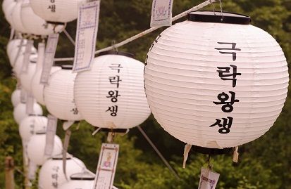 Hobbies in Korean Voice Recognition, Paper Lanterns, Tea House, Lanterns, Novelty Lamp, Hobbies