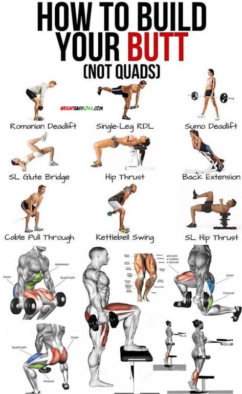 Lower Extremity, Glute Workout, Buttocks Workout, Leg And Glute Workout, Workout Plan Gym, Gym Workout Tips, Lower Body Workout, Glutes Workout, Leg Workout