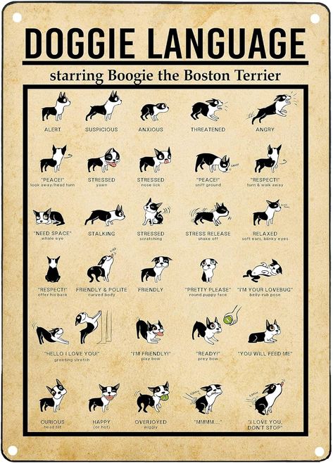 Amazon.com: JIUFOTK Doggie Language Infographic Metal Sign Know Your Dog Posters Knowledge Plaque Wall Decor For Home Club Room Pet Shop 12x16 Inches: Posters & Prints Language Infographic, Dog Posters, Dog Infographic, Infographic Poster, Pub Decor, Dog Facts, Puppy Face, Collage Picture Frames, Dog Poster