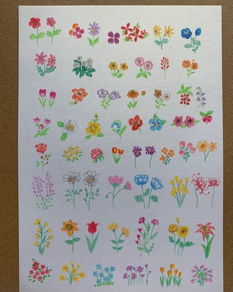 Colour Pencil Flower, Flower Doodles Easy, Flower Drawings With Color, Card Doodles, Small Flower Drawings, Small Flower Design, Small Doodle, Color Pencil Illustration, Flower Drawing Design