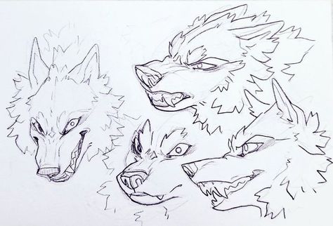 Cat Drawings Cute, Wolf Drawing Reference, Blind In One Eye, Anthro Wolf, Werewolf Drawing, Wolf Sketch, Canine Drawing, Fur Pattern, Wolf Artwork