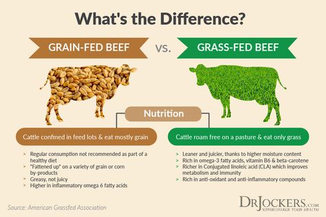 Mineral Rich Foods, Brain Foods, Beef Cow, Healing Diet, Plant Based Burgers, Organic Meat, Beef Cattle, Cattle Farming, Food Additives