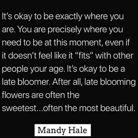 Late Bloomer Quotes, Bloom Quotes, Golden Quotes, Late Bloomer, Sink In, Encouragement Quotes, Its Okay, Inspire Me, Other People