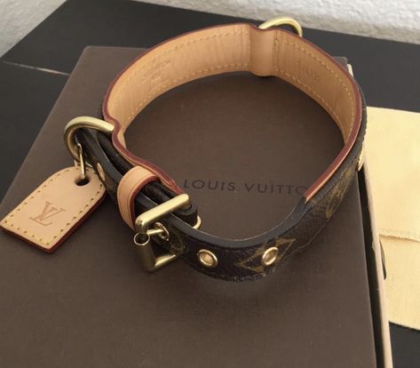 Dog Collar Aesthetic, Louis Vuitton Dog Collar, Collar Aesthetic, Fred Mercury, Pet Things, Fancy Dog, Dog Brain, Dog Vest, Boy Dog