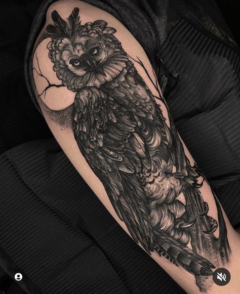 Harpy Eagle Tattoo, Harpy Tattoo, Traditional Owl Tattoos, Big Tattoos, Crane Tattoo, Harpy Eagle, Traditional Tattoo Designs, Eagle Tattoos, Tatuaje A Color