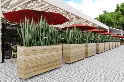 Sol 72 Outdoor™ Chipps Wood Planter Box Set | Wayfair Hedge Wall, Privacy Planter, Metal Privacy Screen, Outdoor Fencing, Wood Planter, Wood Planter Box, Laser Cut Metal, Wood Planters, Planter Box