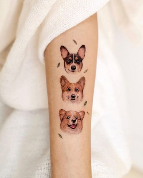 Three corgi portraits🐶 🍃 #tattoo #inked #colortattoo #finelinetattoo #sanfrancisco #sf #bayarea #CA #sanmateo #tattooartist #tattooart #realistictattoo #microtattoo #memorialtattoo #pettattoo #dogtattoo #dogportrait #corgi #leaves #greentattoo Multiple Dog Tattoo, Memorial Pet Tattoos, Tattoo Paw, Portraits Tattoo, Corgi Tattoo, Chihuahua Tattoo, Dog Portrait Tattoo, Small Dog Tattoos, Pet Tattoos