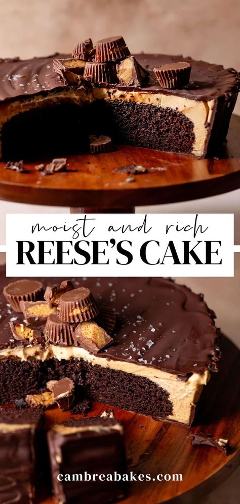 This giant Reese's cake features moist chocolate cake, creamy peanut butter filling, and a crunchy chocolate ganache shell. It's basically a giant Reese's peanut butter cup in cake form! Peanut Butter Cups Cake, Reese's Birthday Cake, Reece’s Birthday Cake, Reeses Peanut Butter Cake Recipe, Reese Cake Birthday, Reeces Cake Birthday Easy, Reese's Peanut Butter Cake, Recees Peanut Butter Cake, Peanut Butter Reese’s Cake