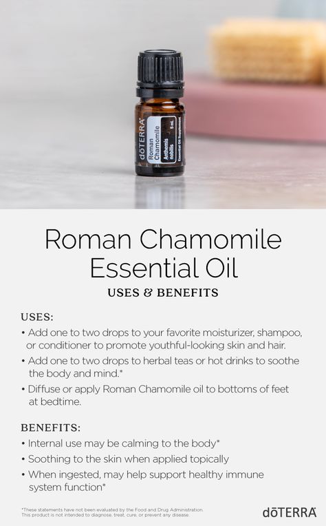 While the most common use of chamomile is in teas, Roman Chamomile essential oil can also be found in face creams, drinks, hair dyes, shampoos, and perfumes. This oil is known for its calming effect on the skin, mind, and body.* Roman Chamomile Doterra, Roman Chamomile Essential Oil Benefits, Roman Camomile, Chamomile Essential Oil Benefits, Doterra Roman Chamomile, Essential Oil Chart, Roman Chamomile Essential Oil, List Of Essential Oils, Doterra Essential Oils Recipes