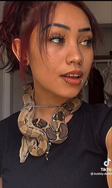 Septum And Snakebites, Snake Bites Black Women, Snakebites Piercings, Septum Snakebites, Snake Bites Piercing, Snake Bite Piercing, Pretty Piercings, Snake Bite, Snakebites