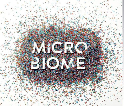 Micro-Biome Micro Biome, University Of Alberta, Put On Weight, Irritable Bowel, Probiotics Supplement, Study Help, Biome, Dr Oz, Lower Cholesterol