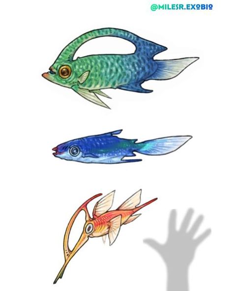 Alien Biology, Alien Wildlife, Alien Fish, Fish Anatomy, Alien Animals, Mythical Creature Art, Artifact Art, Alien Concept, Alien Design