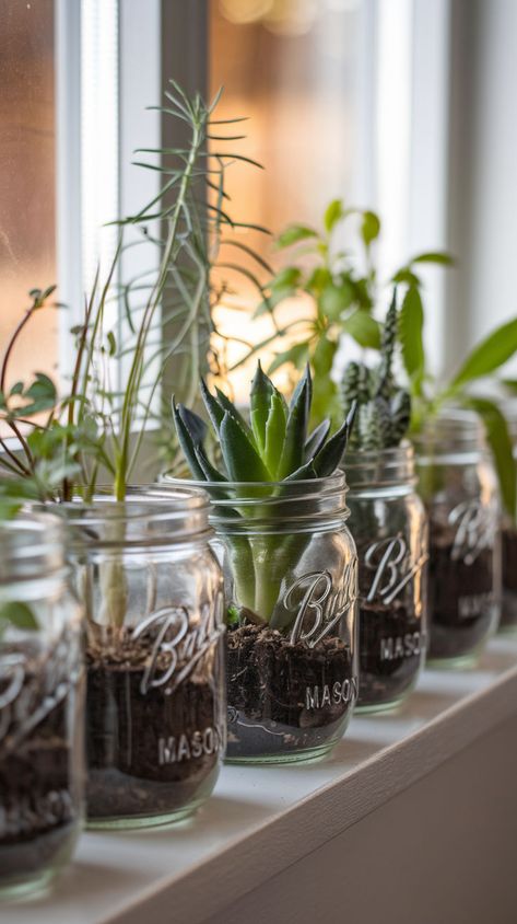 Mason jars make perfect, compact planters! Ideal for herbs or small succulents, these jars add charm to your indoor garden. Get inspired to create your own! Mason Jar Herb Garden Indoor, Jar Herb Garden, Indoor Gardening Ideas, Ideas For Small Apartments, Mason Jar Herb Garden, Mason Jar Planter, Plant Store, Mini Greenhouse, Indoor Herb Garden