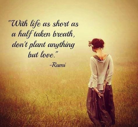 Life is short..... Best Short Quotes, Rumi Poem, Rumi Poetry, Rumi Love Quotes, Sufi Mystic, Rumi Love, Life Image, Short Quotes Love, Kahlil Gibran