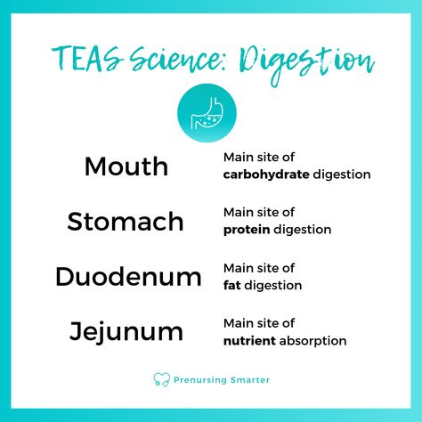 Teas Test Prep, Teas Exam, Science Flashcards, Nursing Tea, Teas 7, Teas Test, Nursing Study Tips, Nursing Study Guide, Nursing School Motivation